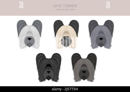 Skye Terrier Fellfarben, verschiedene Posen Cliparts. Vektorgrafik Stock Vektor