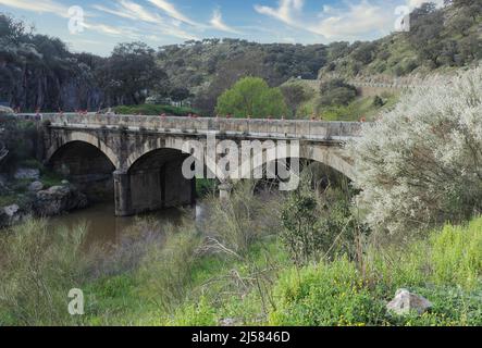 Roemische Brücke im Monfrague Nationalpark, Extremadura, Spanien Stockfoto