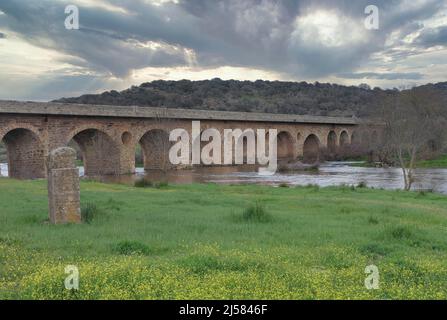 Brücke am Fluss Almonte Nebenfluss des Tajo-River, Monfrague Nationalpark, Extremadura, Spanien Stockfoto