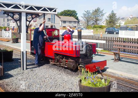 Dampflokomotive Russell auf der Schmalspurbahn in Fairbourne wird mit Wasser gefüllt Stockfoto