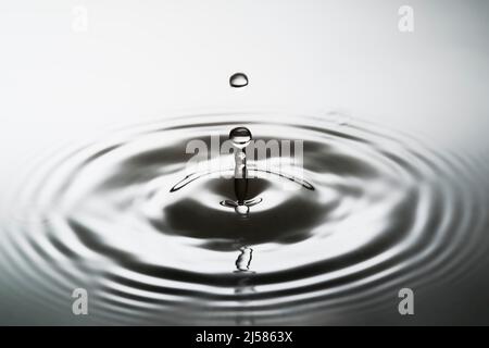 Tropfenfotografie, Wassertropfen fallen auf Wasseroberflaeche, Wassersaeule, Farbspiel, Studioaufnahme Stockfoto