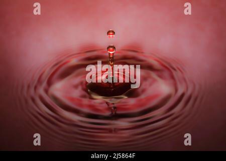 Tropfenfotografie, Wassertropfen fallen auf Wasseroberflaeche, Wassersaeule, Farbspiel, Studioaufnahme Stockfoto