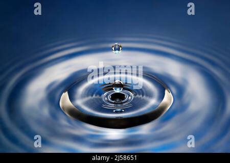 Tropfenfotografie, Wassertropfen fallen auf Wasseroberflaeche, Wassersaeule, Farbspiel, Studioaufnahme Stockfoto