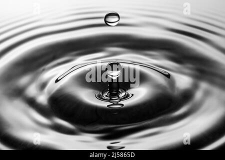 Tropfenfotografie, Wassertropfen fallen auf Wasseroberflaeche, Wassersaeule, Farbspiel, Studioaufnahme Stockfoto