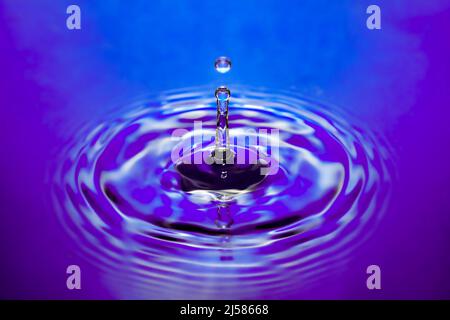 Tropfenfotografie, Wassertropfen fallen auf Wasseroberflaeche, Wassersaeule, Farbspiel, Studioaufnahme Stockfoto
