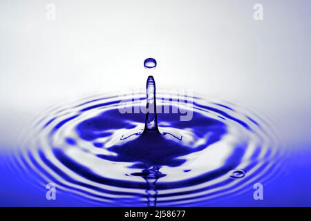 Tropfenfotografie, Wassertropfen fallen auf Wasseroberflaeche, Wassersaeule, Farbspiel, Studioaufnahme Stockfoto