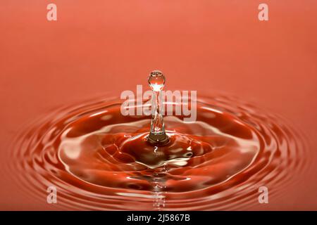 Tropfenfotografie, Wassertropfen fallen auf Wasseroberflaeche, Wassersaeule, Farbspiel, Studioaufnahme Stockfoto