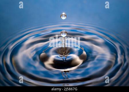 Tropfenfotografie, Wassertropfen fallen auf Wasseroberflaeche, Wassersaeule, Farbspiel, Studioaufnahme Stockfoto