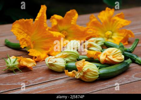 Süddeutsche Küche, frische Zucchiniblüten mit Gartenkürbis (Cucurbita pepo var. giromontiina) auf einer Holzplatte, vegetarisch, gesund Stockfoto