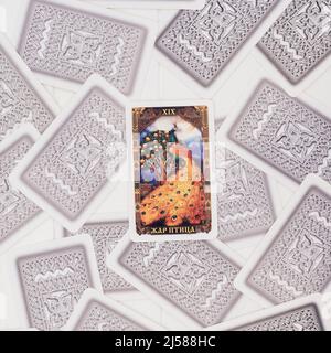 Deck mit Tarot-Karten auf weißer Brettfläche mit offener Karte mit Inschrift Firebird in russisch. Draufsicht. Quadratisches Bild. Minsk, Weißrussland - 28,0 Stockfoto