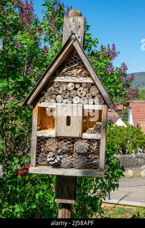 Im Frühling in der Nähe eines Hotels mit hölzernen Insekten in einem Dorf Stockfoto