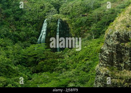 Opaekaa Falls im Wailua River State Park auf der Insel Kauai in Hawaii, USA. Die Wasserfälle stürzen sich 151 vertikale Fuß über einen Vulkani hinunter Stockfoto