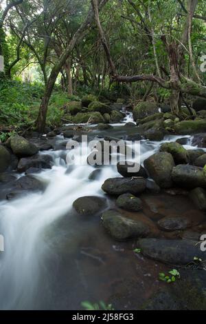 Der Limahuli-Strom fließt von den Bergen oberhalb von Hanalei in den Pazifischen Ozean am Nordufer der Insel Kauai, Hawaii. Ein langsamer Halt Stockfoto