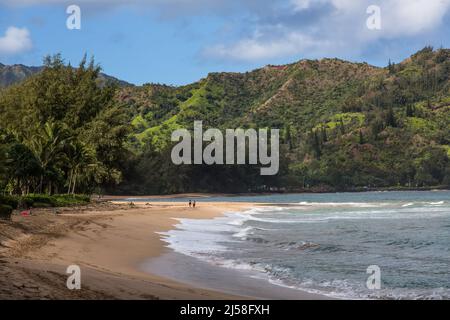 Wellen und Surfen am Hanalei Beach an der Hanalei Bay auf der Insel Kauai, Hawaii, USA. Ein paar Spaziergänge am Strand. Stockfoto