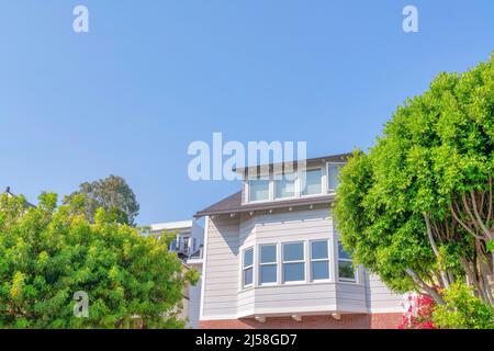Bäume an der Vorderseite eines Hauses in einem Vorort von San Francisco, Kalifornien. Startseite außen mit grauem Holz Vinyl Lap Siding und Bugfenster gegen den Clea Stockfoto