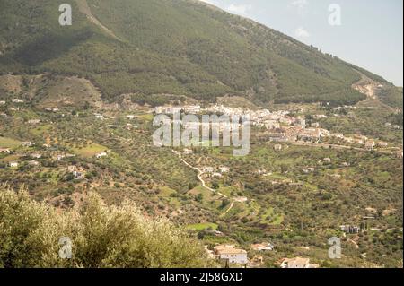 Frühling in der Sierra de Tejeda Gebirge in der Nähe von Malaga, Andalusien, Spanien Stockfoto