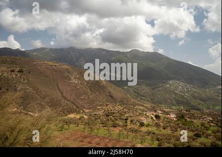 Frühling in der Sierra de Tejeda Gebirge in der Nähe von Malaga, Andalusien, Spanien Stockfoto