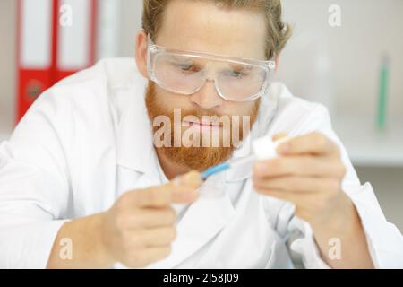 Bärtiger Wissenschaftler, der im Labor arbeitet Stockfoto