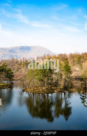 Vertikale Landschaft von Waldinseln in der Mitte des Sees bei Tarn Hows im Lake District National Park an einem schönen sonnigen Tag Stockfoto