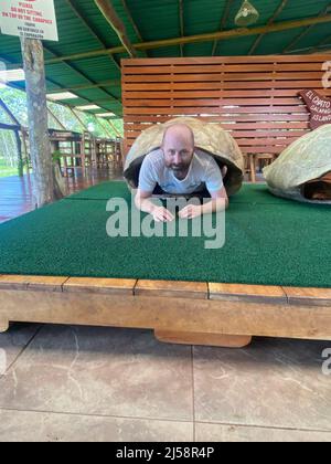Tourist posiert für Fotos, kriecht aus einer riesigen Schildkrötenschale bei El Chato Galapagos, einem geschützten Ort, an dem Galapagos-Riesenschildkröten herumlaufen. Stockfoto