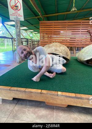 Tourist posiert für Fotos, kriecht aus einer riesigen Schildkrötenschale bei El Chato Galapagos, einem geschützten Ort, an dem Galapagos-Riesenschildkröten herumlaufen. Stockfoto