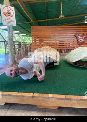 Tourist posiert für Fotos, kriecht aus einer riesigen Schildkrötenschale bei El Chato Galapagos, einem geschützten Ort, an dem Galapagos-Riesenschildkröten herumlaufen. Stockfoto