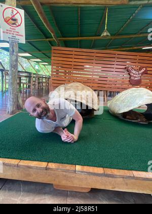 Tourist posiert für Fotos, kriecht aus einer riesigen Schildkrötenschale bei El Chato Galapagos, einem geschützten Ort, an dem Galapagos-Riesenschildkröten herumlaufen. Stockfoto
