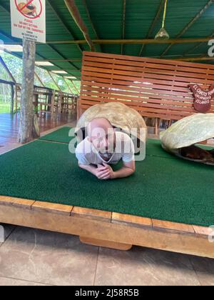 Tourist posiert für Fotos, kriecht aus einer riesigen Schildkrötenschale bei El Chato Galapagos, einem geschützten Ort, an dem Galapagos-Riesenschildkröten herumlaufen. Stockfoto