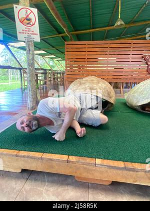 Tourist posiert für Fotos, kriecht aus einer riesigen Schildkrötenschale bei El Chato Galapagos, einem geschützten Ort, an dem Galapagos-Riesenschildkröten herumlaufen. Stockfoto