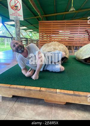 Tourist posiert für Fotos, kriecht aus einer riesigen Schildkrötenschale bei El Chato Galapagos, einem geschützten Ort, an dem Galapagos-Riesenschildkröten herumlaufen. Stockfoto