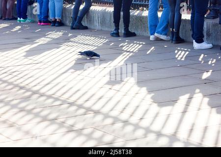 Vor dem Buckingham Palace im Zentrum Londons versammeln sich Menschen. Stockfoto