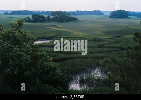 Blick auf einen Salzmarsch auf Kiawah Island, South Carolina, in der Abenddämmerung. Stockfoto