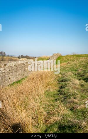 Die Hadrianmauer, auch als römische Mauer bekannt, ist eine ehemalige Verteidigungsfestung der römischen Provinz Britannien, die 122 n. Chr. unter der Herrschaft von begann Stockfoto