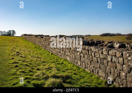 Die Hadrianmauer, auch als römische Mauer bekannt, ist eine ehemalige Verteidigungsfestung der römischen Provinz Britannien, die 122 n. Chr. unter der Herrschaft von begann Stockfoto