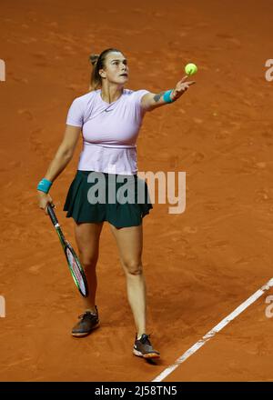 Stuttgart, 21.. April 2022. Tennisspielerin Aryna Sabalenka beim Porsche Tennis Grand Prix 2022 in Stuttgart am Donnerstag, 21. April 2022 in Aktion © Jürgen Hasenkopf / Alamy Live News Stockfoto