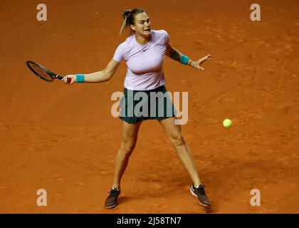 Stuttgart, 21.. April 2022. Tennisspielerin Aryna Sabalenka beim Porsche Tennis Grand Prix 2022 in Stuttgart am Donnerstag, 21. April 2022 in Aktion © Jürgen Hasenkopf / Alamy Live News Stockfoto