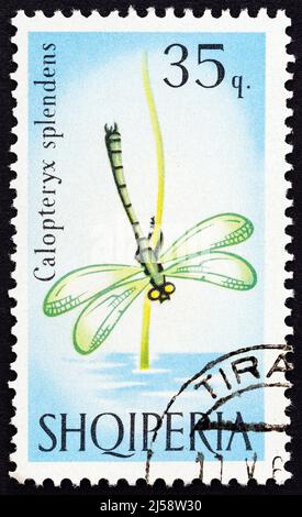 ALBANIEN - UM 1966: Eine in Albanien gedruckte Marke aus der Ausgabe 'Schmetterlinge und Fliegen' zeigt gebänderte demoiselle (Calopteryx splendens) Damselfly Stockfoto