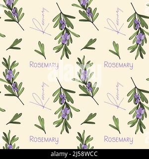 Rosmarin Muster Blumen und Schriftzug. Vektorgrafik Stock Vektor