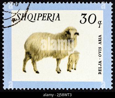 ALBANIEN - UM 1966: Eine in Albanien gedruckte Marke aus der Ausgabe 'Haustiere' zeigt Schafe (Ovis aries), um 1966. Stockfoto