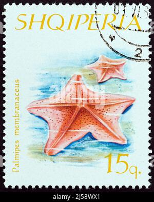 ALBANIEN - UM 1966: Eine in Albanien gedruckte Briefmarke aus der 'Stachelhäuter'-Ausgabe zeigt Gänsefußstarfisch (Palmipes membranaceus), um 1966. Stockfoto