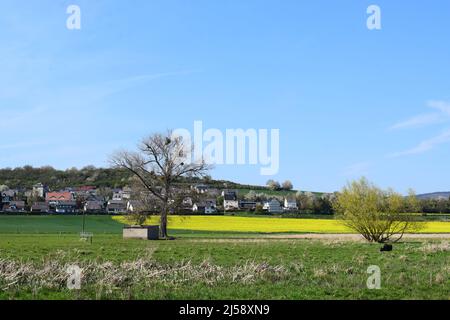 Sumpfland Thürer Wiesen im Frühjahr Stockfoto