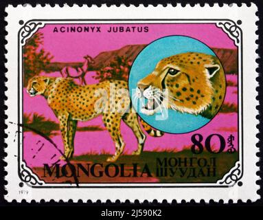 MONGOLEI - UM 1979: Eine in der Mongolei gedruckte Marke zeigt Gepard, Acinonyx jubatus, African Animal, um 1979 Stockfoto