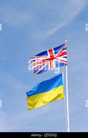 Eine ukrainische und britische Union Jack-Flagge, die auf demselben Fahnenmast gegen einen blauen Himmel fliegt und Solidarität gegen den Krieg in der Ukraine zeigt Stockfoto