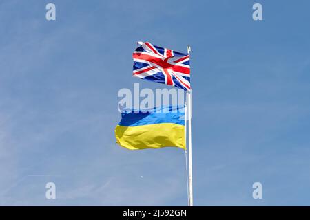 Eine ukrainische und britische Union Jack-Flagge, die auf demselben Fahnenmast gegen einen blauen Himmel fliegt und Solidarität gegen den Krieg in der Ukraine zeigt Stockfoto
