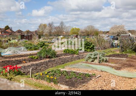 Zuteilungen Didcot Oxfordshire Stockfoto