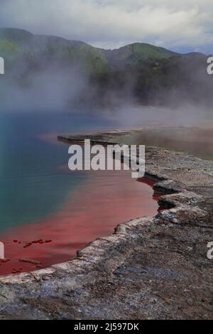 Lebendige Farben des Champagne Pools, einer heißen Quelle Waiotapu Geothermie-Region in der Nähe von Rotorua auf der Nordinsel Neuseelands. Stockfoto