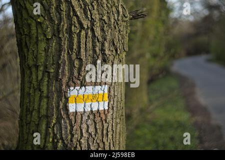 Weißer und gelber Wandermarker auf einem Baum Stockfoto