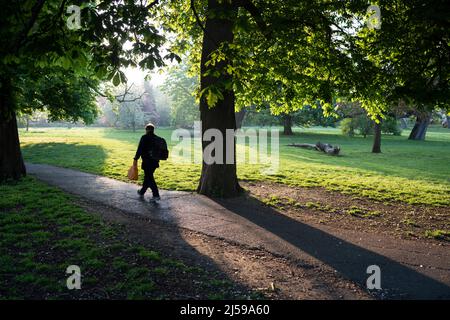 Ein Arbeiter pendelt am 21.. April 2022 in London, England, durch eine Allee von Rosskastanienbäumen im Ruskin Park, einer Grünfläche im Süden Londons in Lambeth. Stockfoto