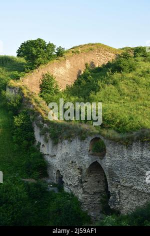 Alte verfallene Steinmauer einer mittelalterlichen Festung, überwuchert mit grünem Gras und Sträuchern Stockfoto