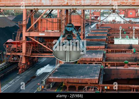 Deutschland, Hamburg, Hansaport Kohleimport , Entladung von Steinkohle vom Bulk Carrier / DEUTSCHLAND, Hamburg, Hansaport, Import von Kohle aus Russland, Kolumbien und anderen Ländern, Entsorgung eines Frachtschiffes mit Steinkohle Stockfoto